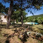 Scappo In Umbria, La Casa Nel Bosco Vila