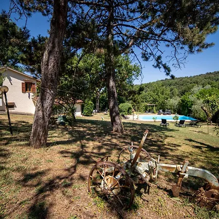 Scappo In Umbria, La Casa Nel Bosco 别墅