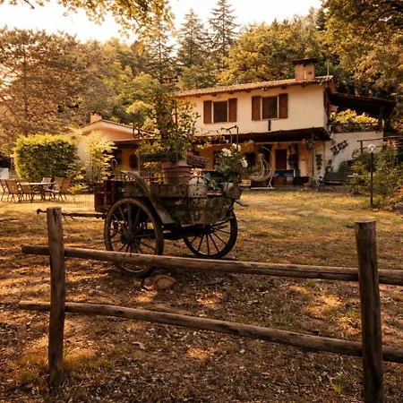 Vila Scappo In Umbria, La Casa Nel Bosco